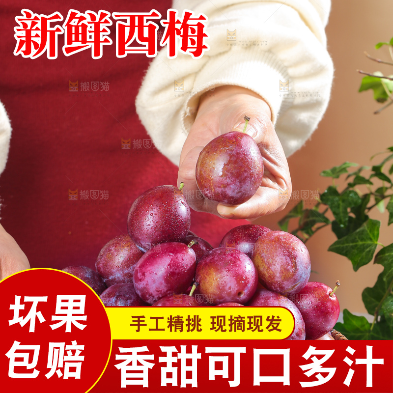 浅底上的澳洲西梅