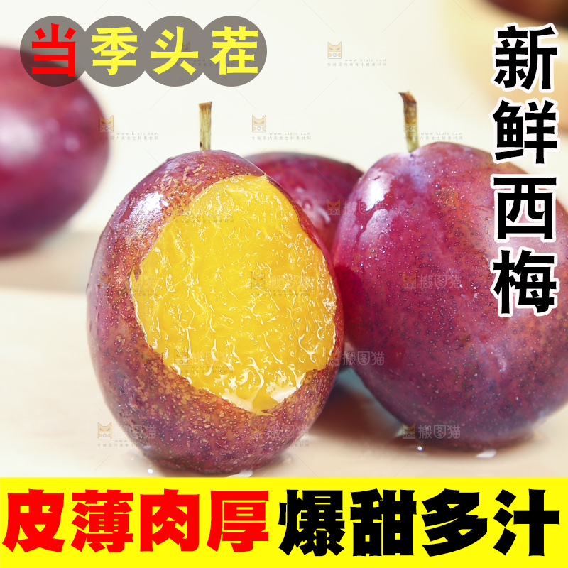 浅底上的澳洲西梅