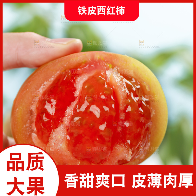 浅底上的铁皮西红柿