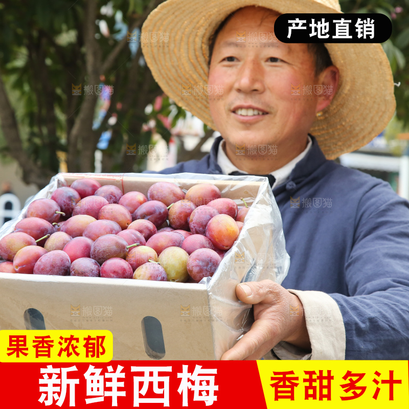 手里拿着澳洲西梅