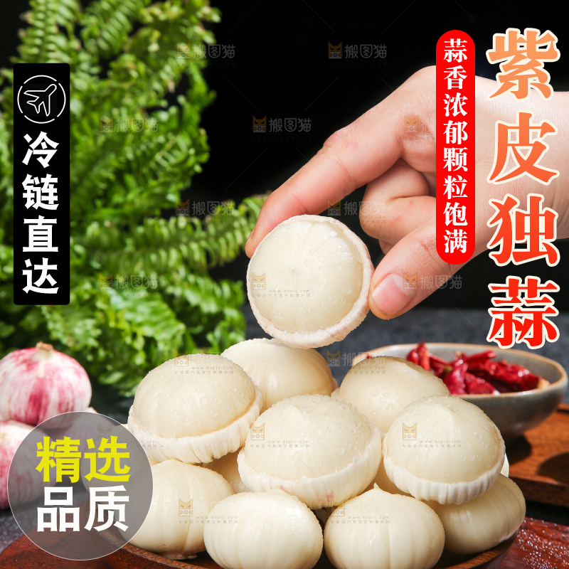 深底上的紫皮独蒜