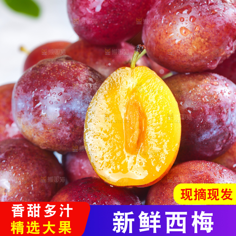 浅底上的澳洲西梅