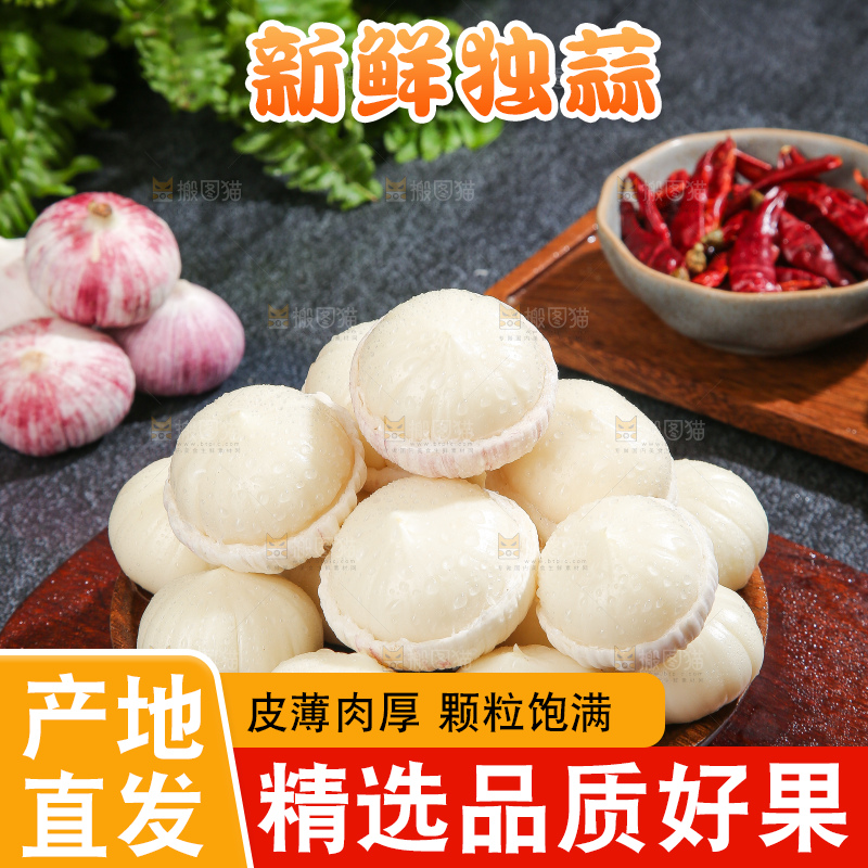 深底上的紫皮独蒜