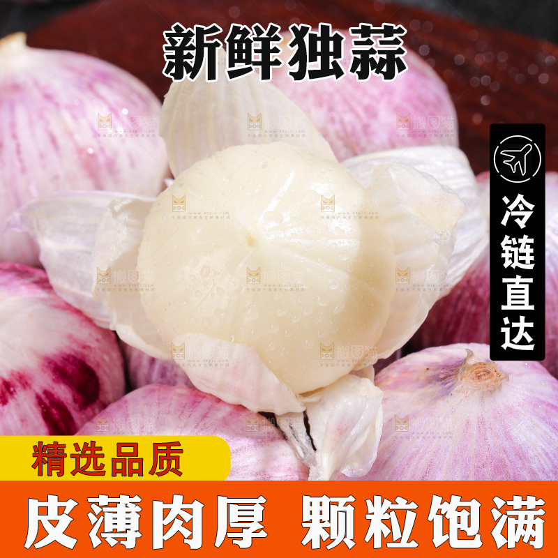 深底上的紫皮独蒜
