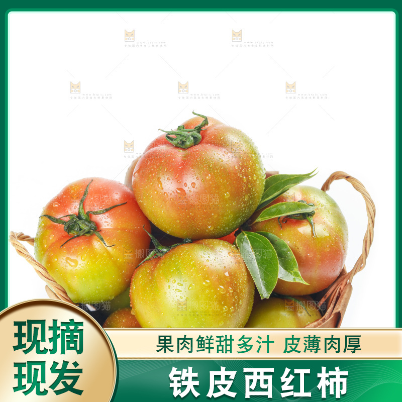 白底上的铁皮西红柿