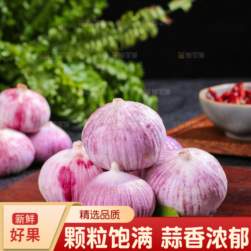 深底上的紫皮独蒜