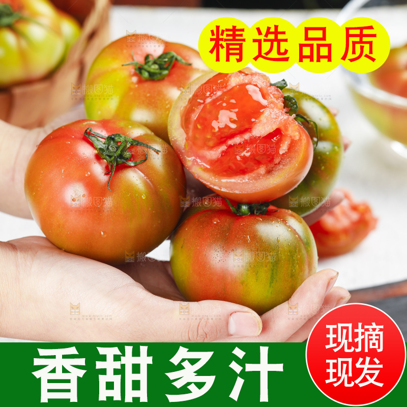 浅底上的铁皮西红柿