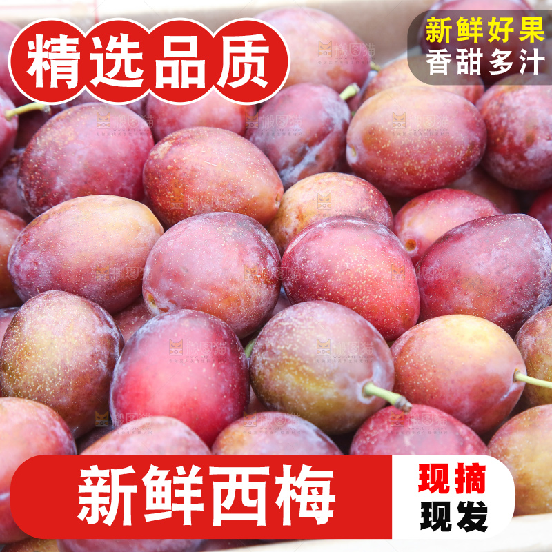 深底上的澳洲西梅