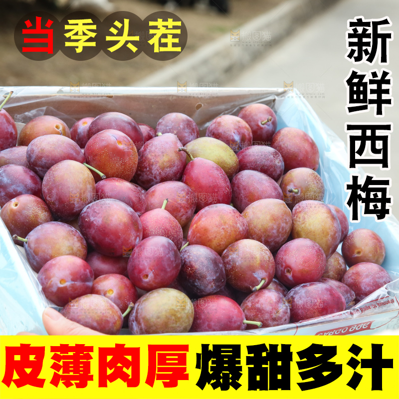 手里拿着澳洲西梅