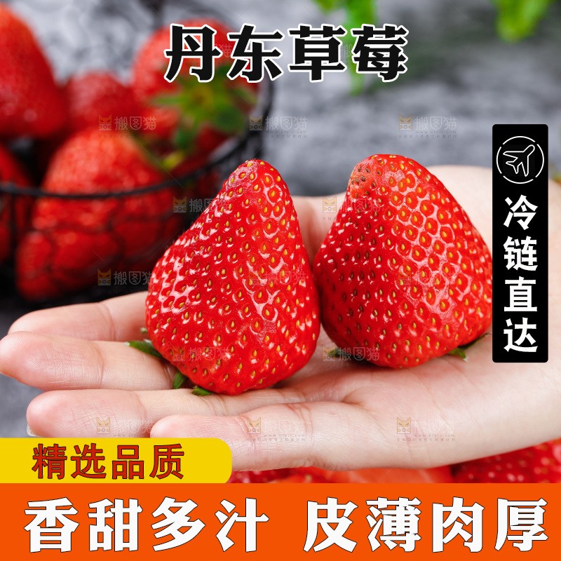 深底上的丹东草莓