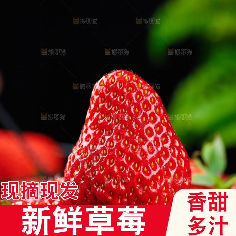 深底上的丹东草莓