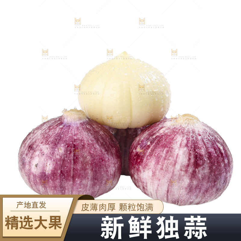 白底上的紫皮独头蒜