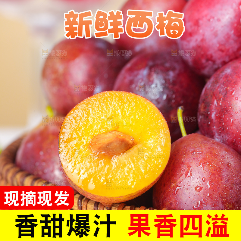浅底上的澳洲西梅