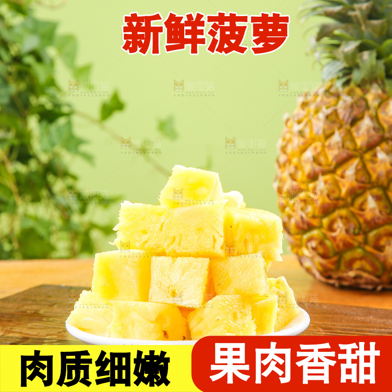 浅底上的徐闻菠萝