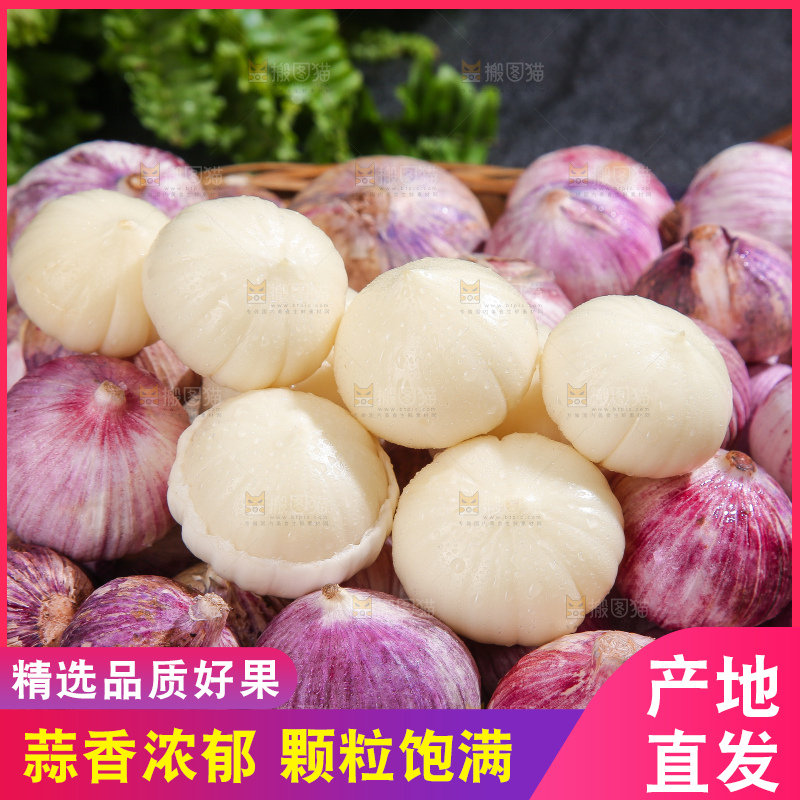 深底上的紫皮独蒜
