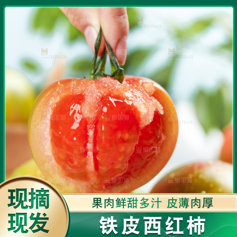浅底上的铁皮西红柿