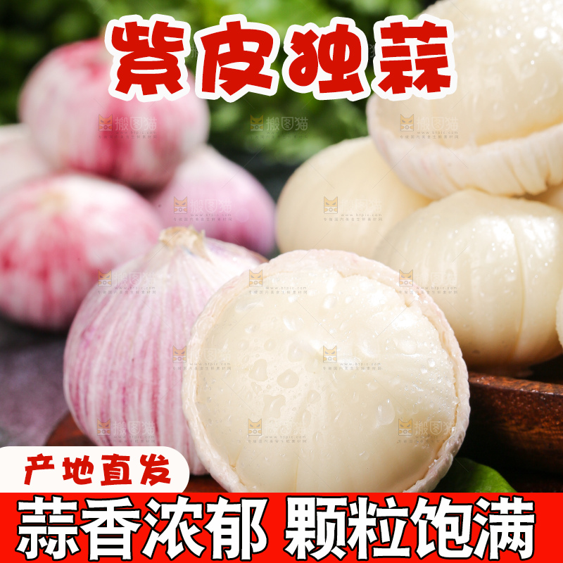 深底上的紫皮独蒜