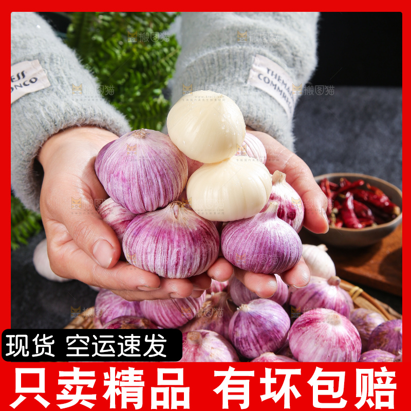 深底上的紫皮独蒜