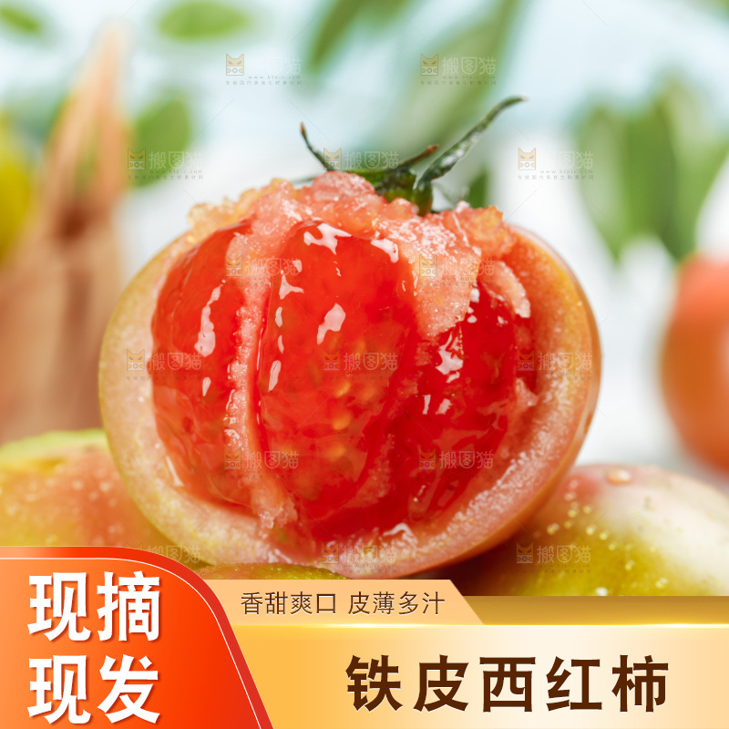 浅底上的铁皮西红柿