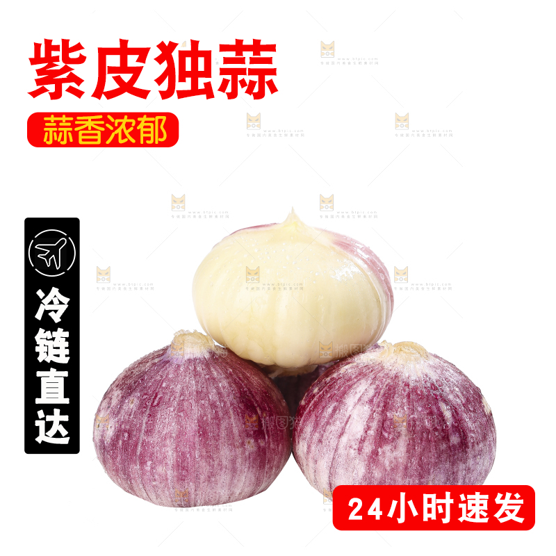 白底上的紫皮独头蒜