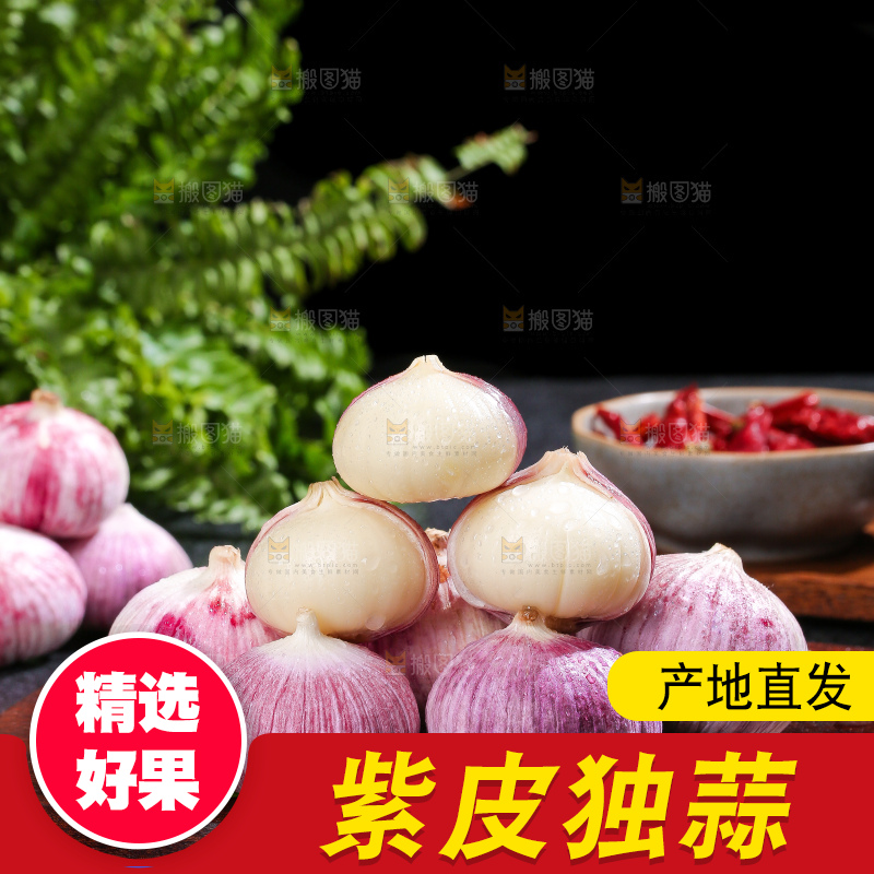 深底上的紫皮独蒜