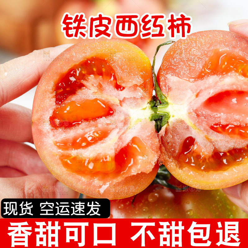 浅底上的铁皮西红柿