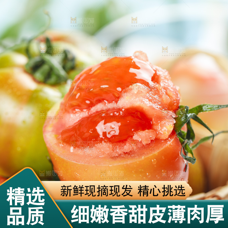 浅底上的铁皮西红柿