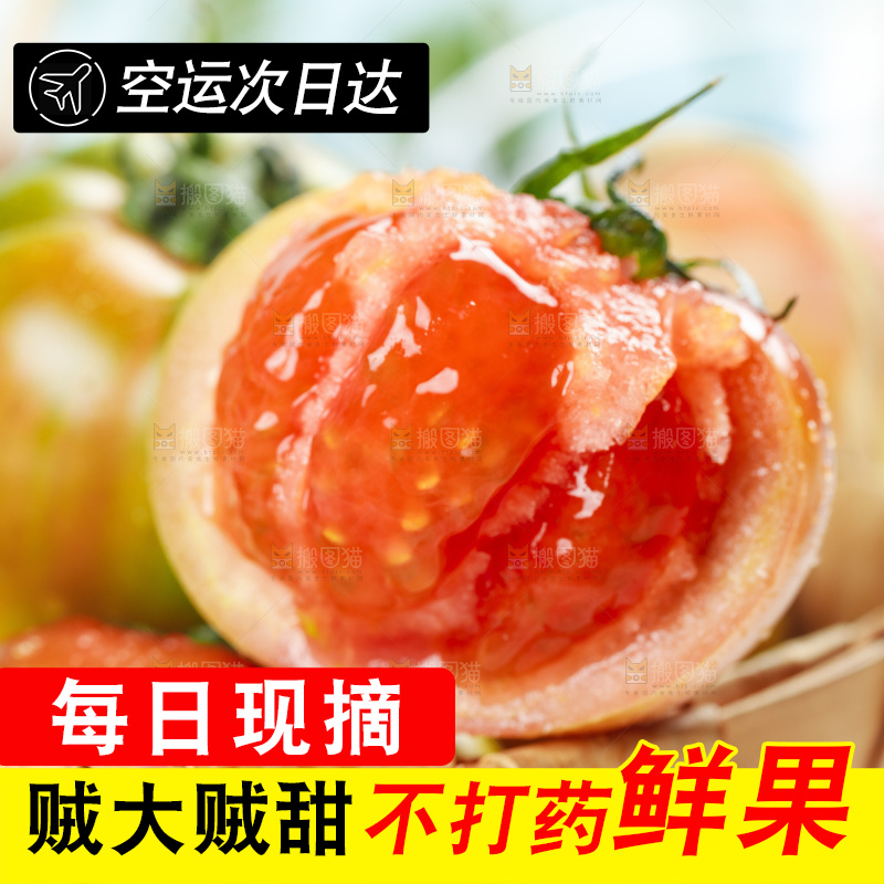 浅底上的铁皮西红柿