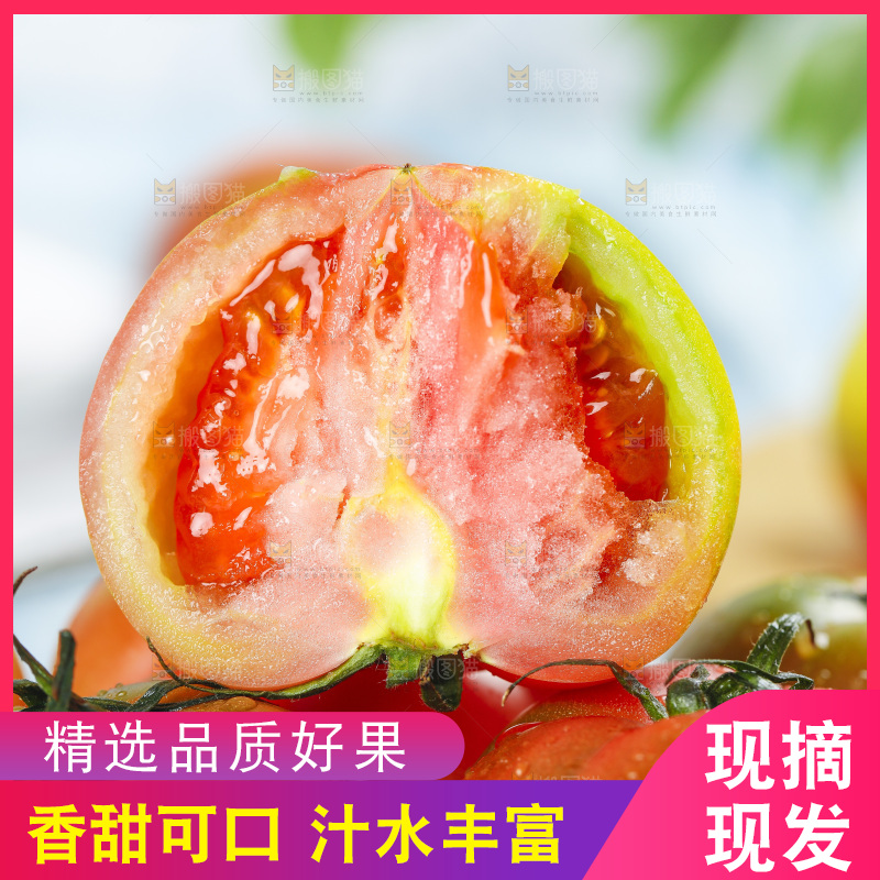 浅底上的铁皮西红柿