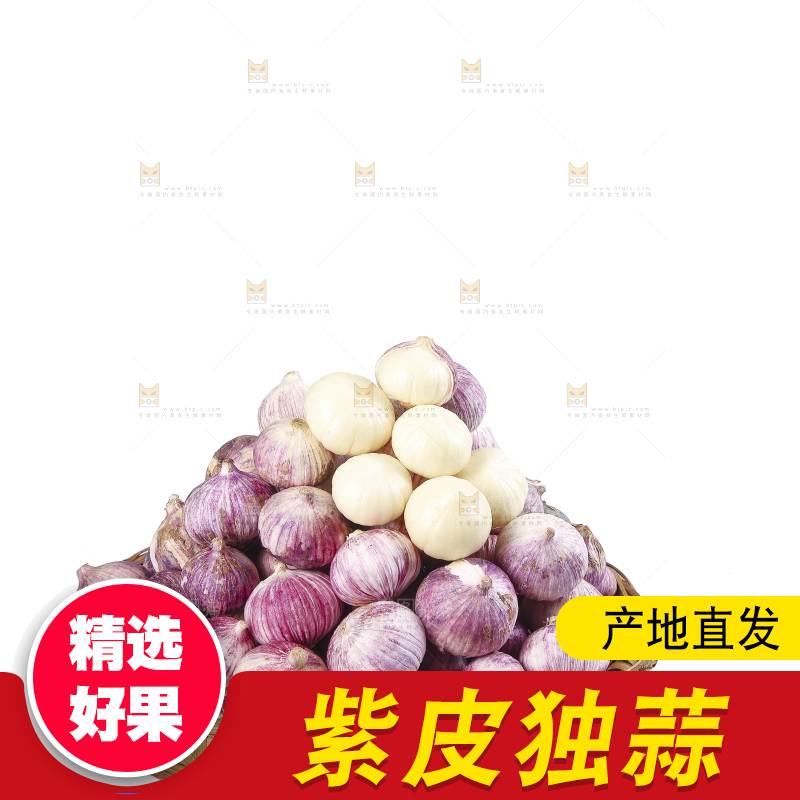白底上的紫皮独头蒜