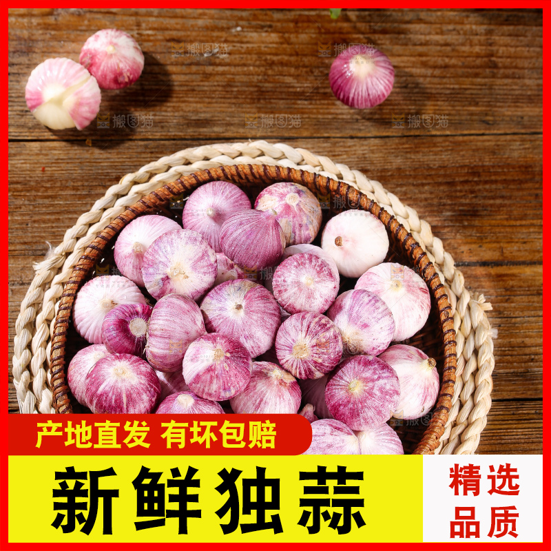 木底上的紫皮独头蒜