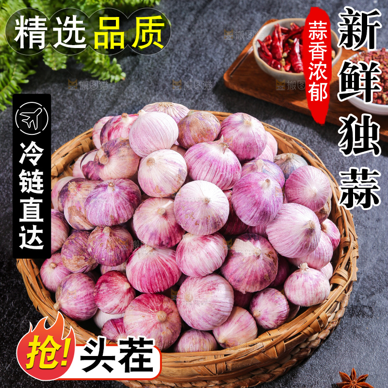 深底上的紫皮独蒜