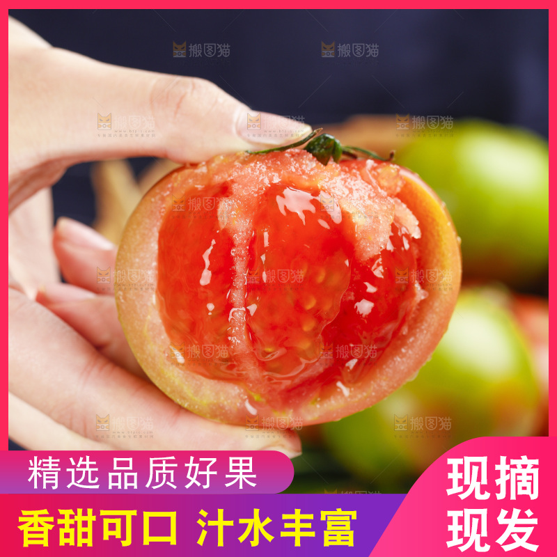 浅底上的铁皮西红柿