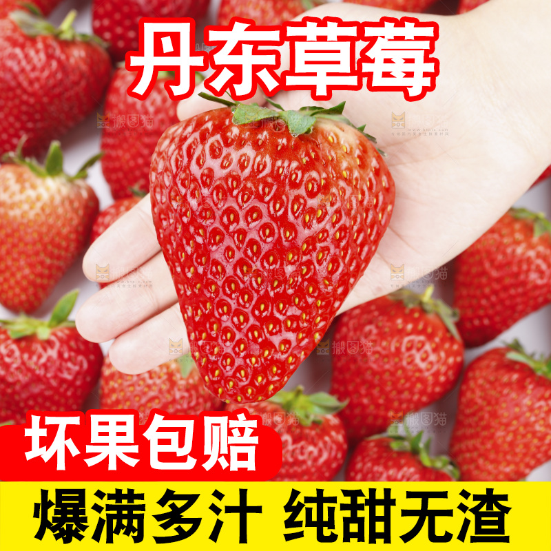 手里拿着丹东草莓