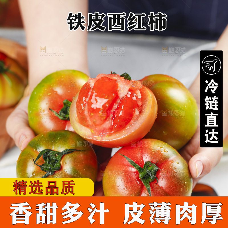 浅底上的铁皮西红柿