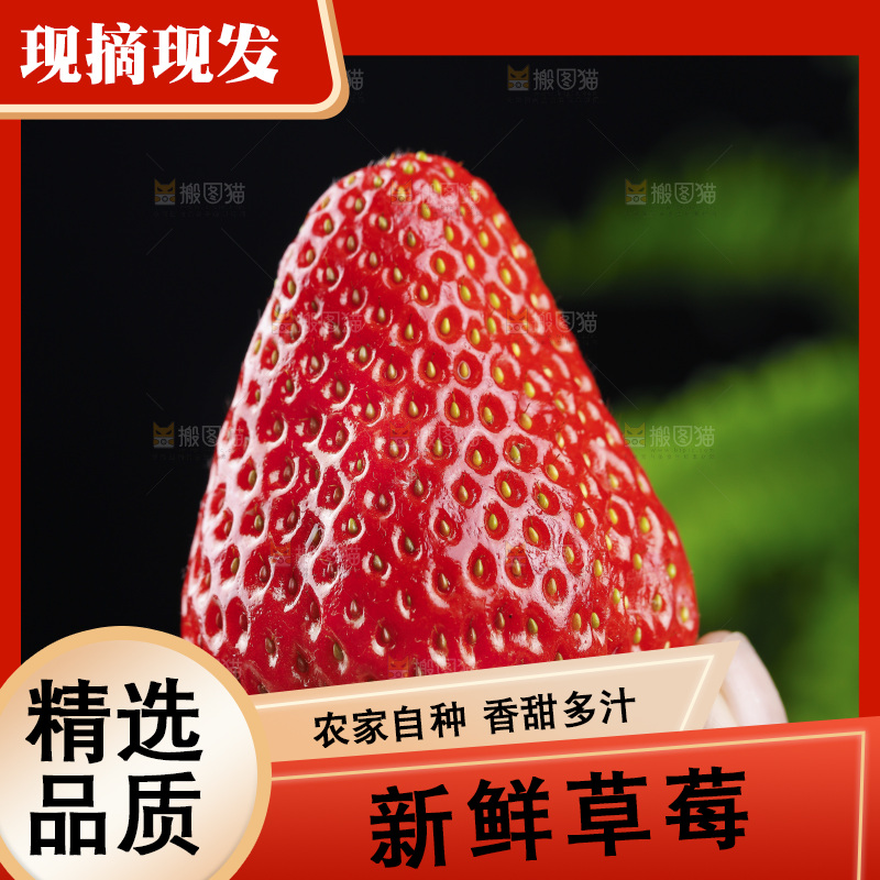 深底上的丹东草莓