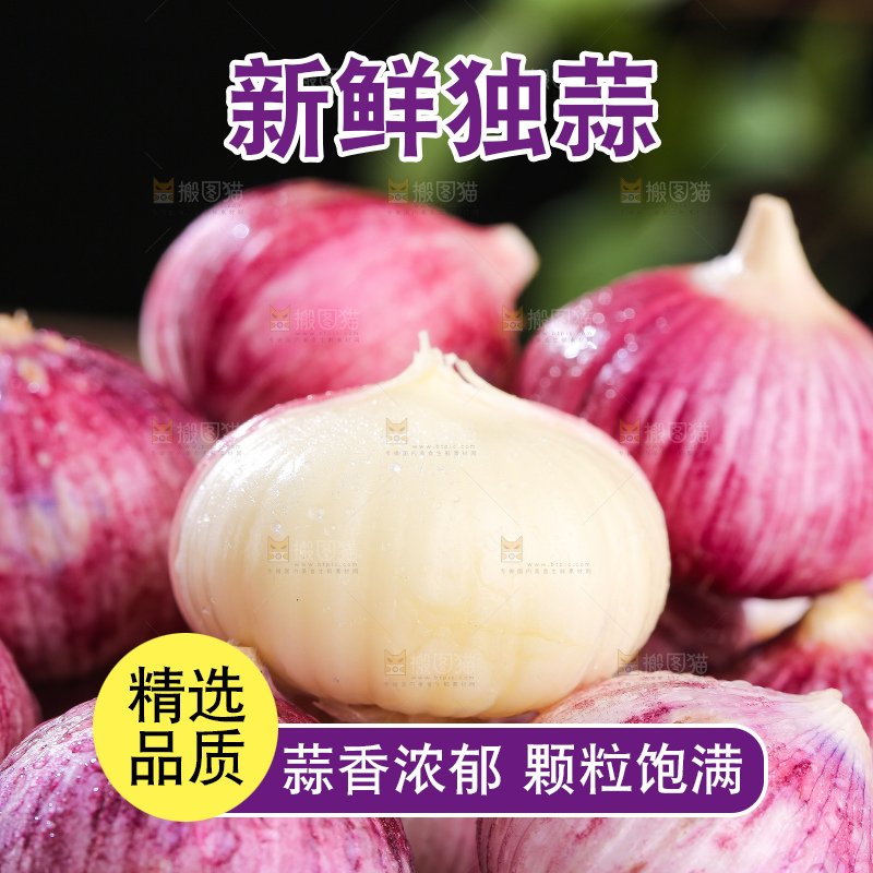 木底上的紫皮独头蒜