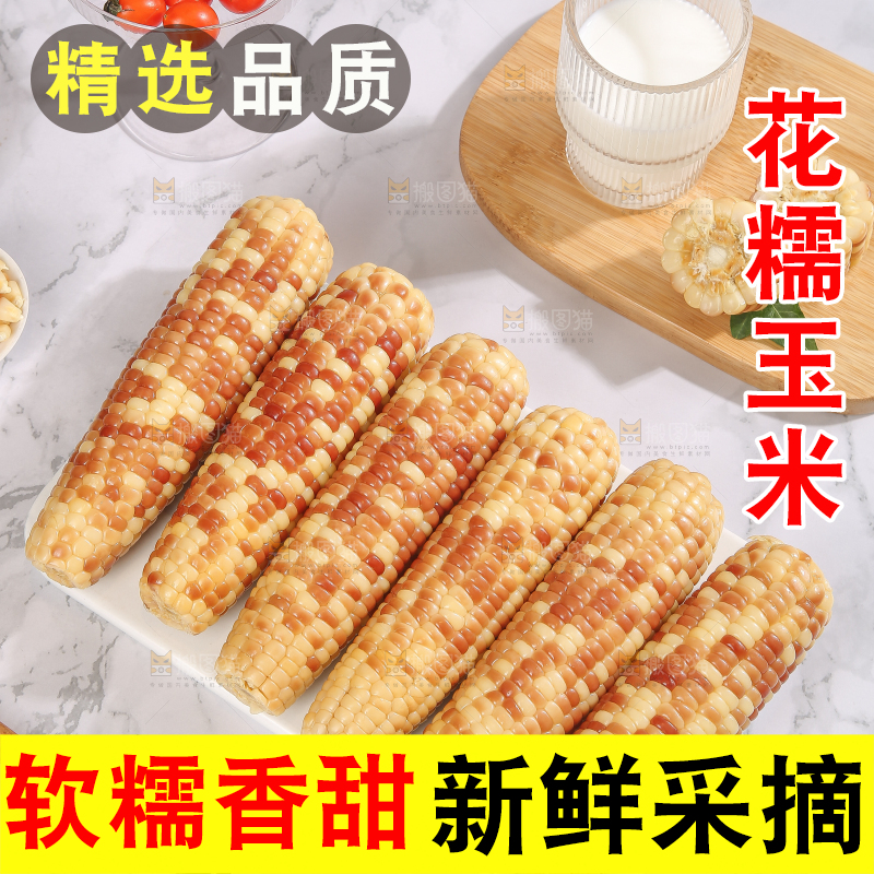 浅底上的花糯小玉米