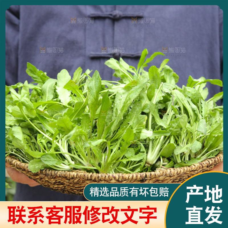 手里拿着地菜