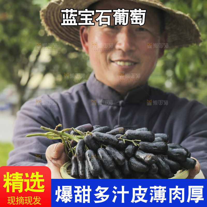 手里拿着蓝宝石葡萄