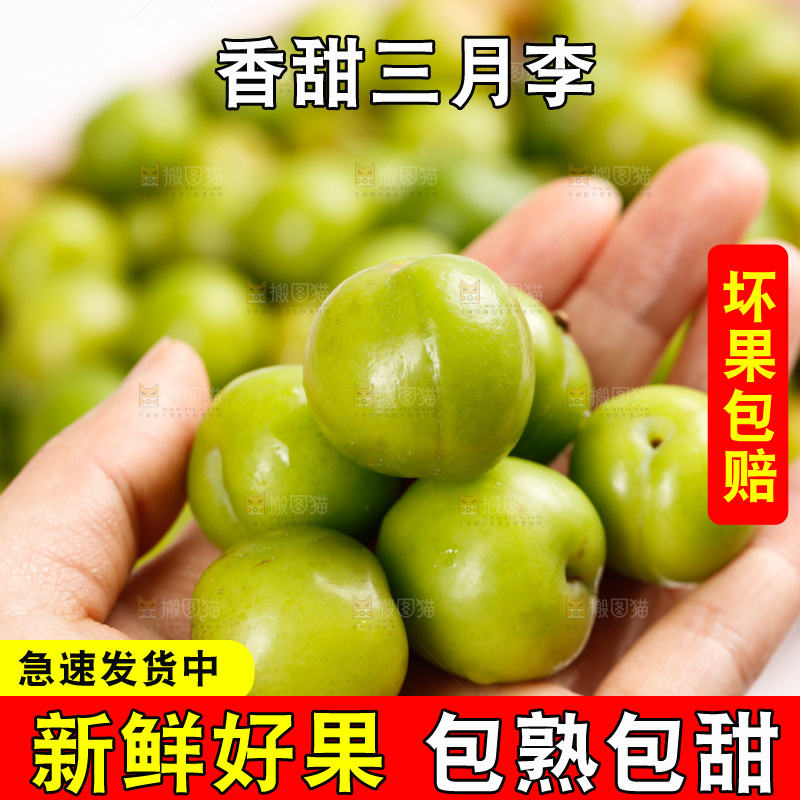 浅底上的三月李