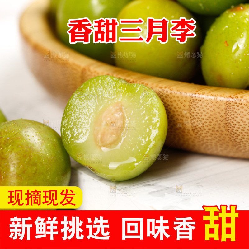 浅底上的三月李