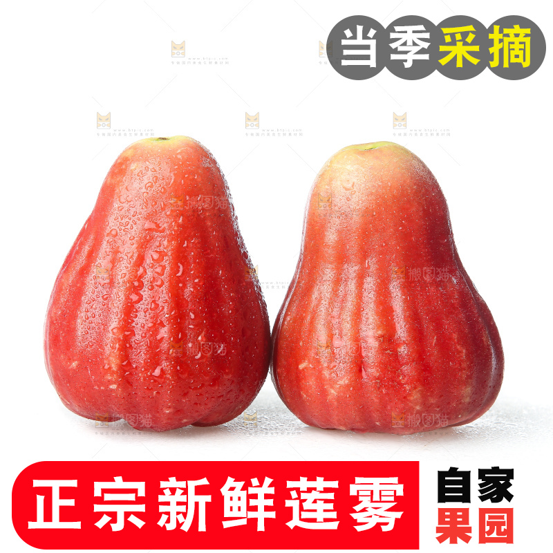 白底上的新鲜莲雾