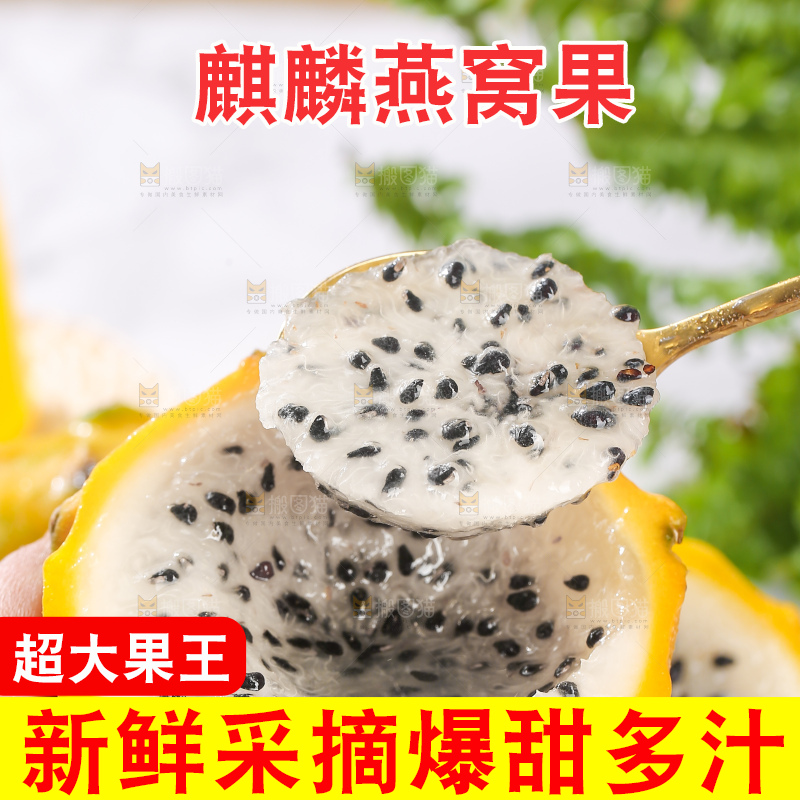 浅底上的燕窝果