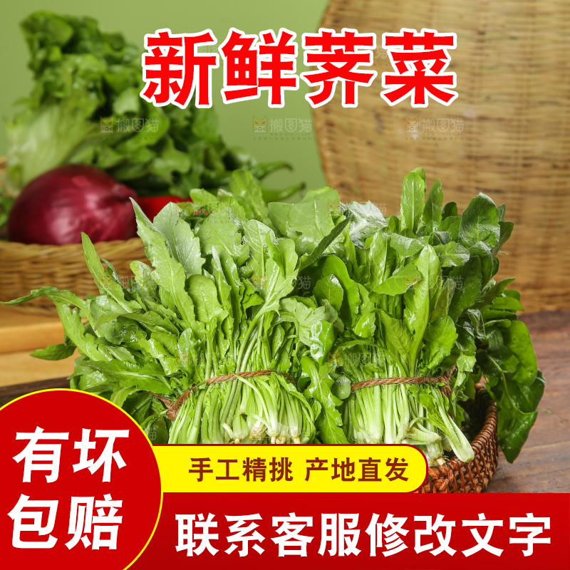 木底上的荠菜
