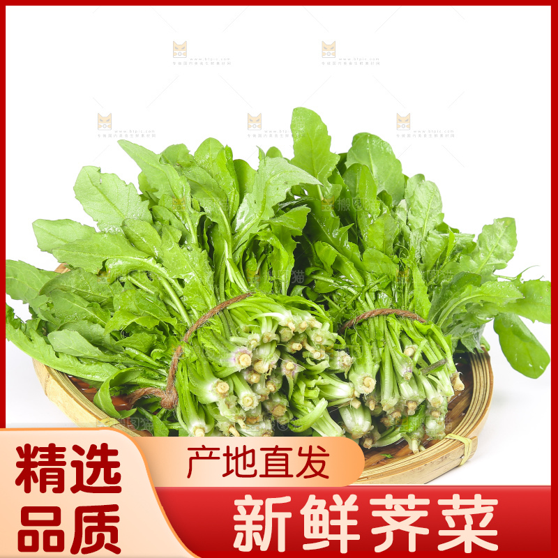 白底上的荠菜