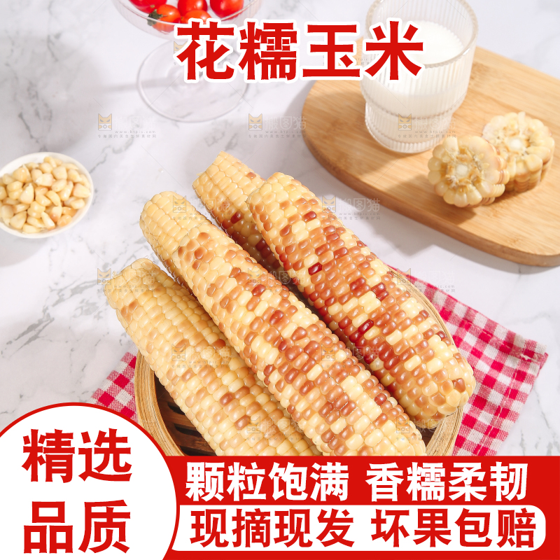 浅底上的花糯小玉米