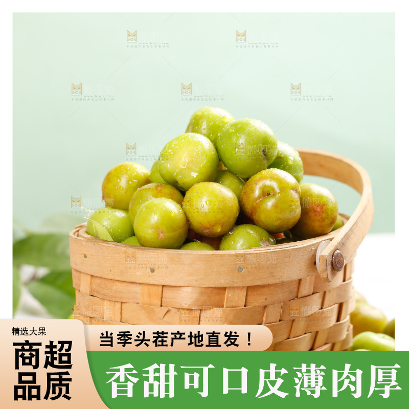 浅底上的三月李