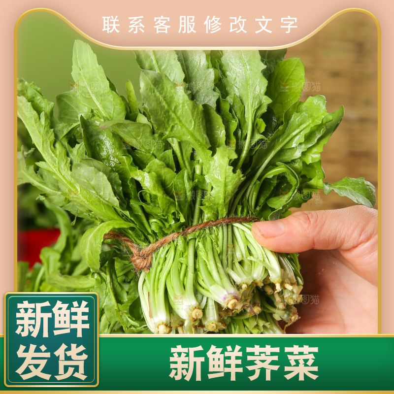 木底上的地菜