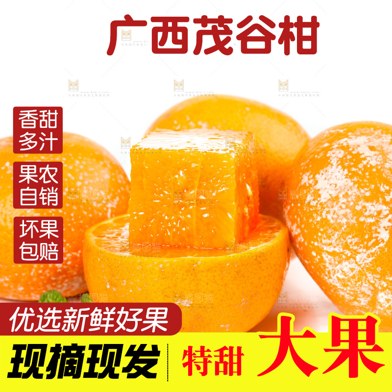 白底上的茂谷柑
